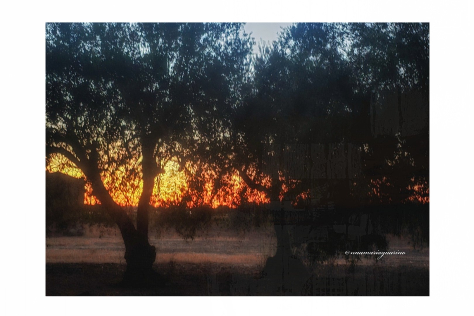 Ogni scorcio è poesia ( Sicilia)